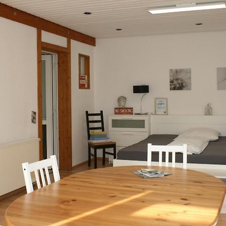 Gemuetliches Grosszuegiges Apartment Höhr-Grenzhausen Exteriér fotografie