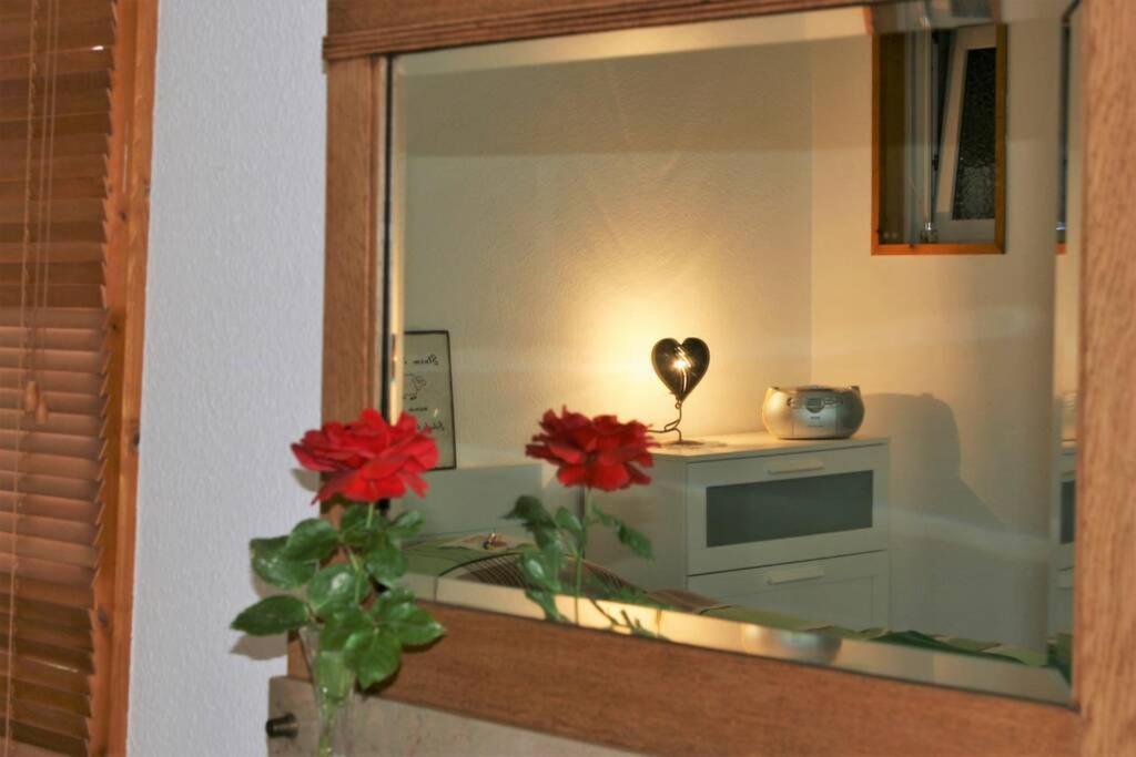 Gemuetliches Grosszuegiges Apartment Höhr-Grenzhausen Exteriér fotografie