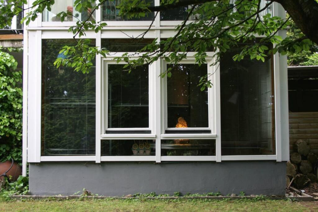 Gemuetliches Grosszuegiges Apartment Höhr-Grenzhausen Exteriér fotografie